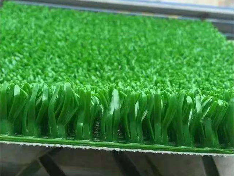 微信图片_20250508035040